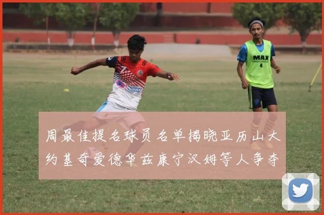 周最佳提名球员名单揭晓亚历山大约基奇爱德华兹康宁汉姆等人争夺荣誉