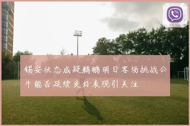 锡安状态成疑鹈鹕明日客场挑战公牛能否延续良好表现引关注